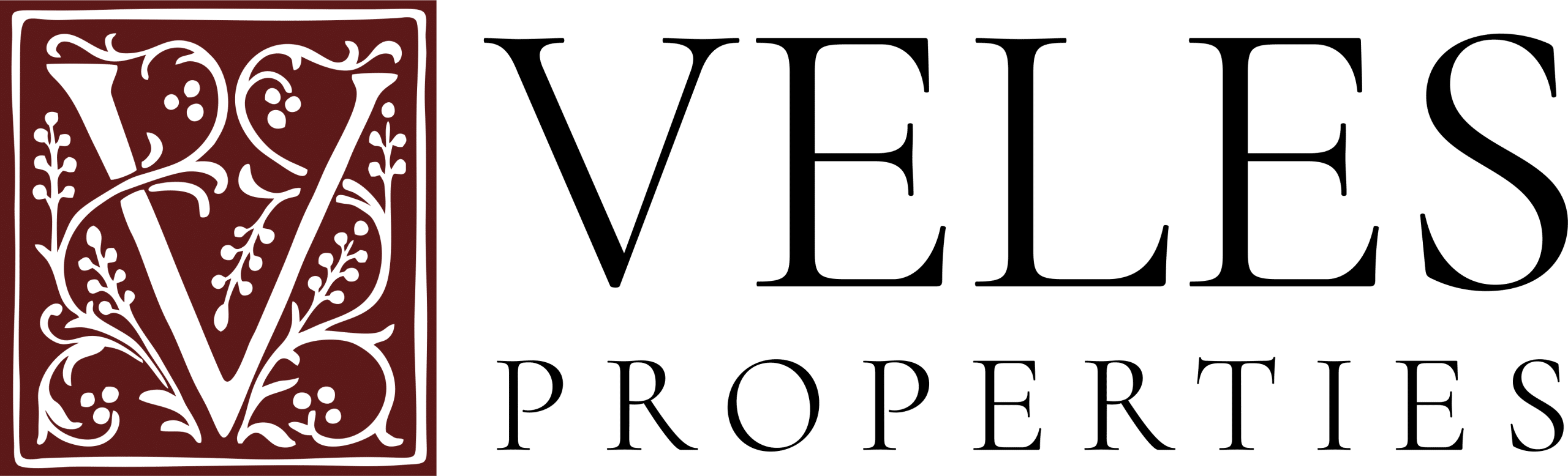 Veles logo colour 2
