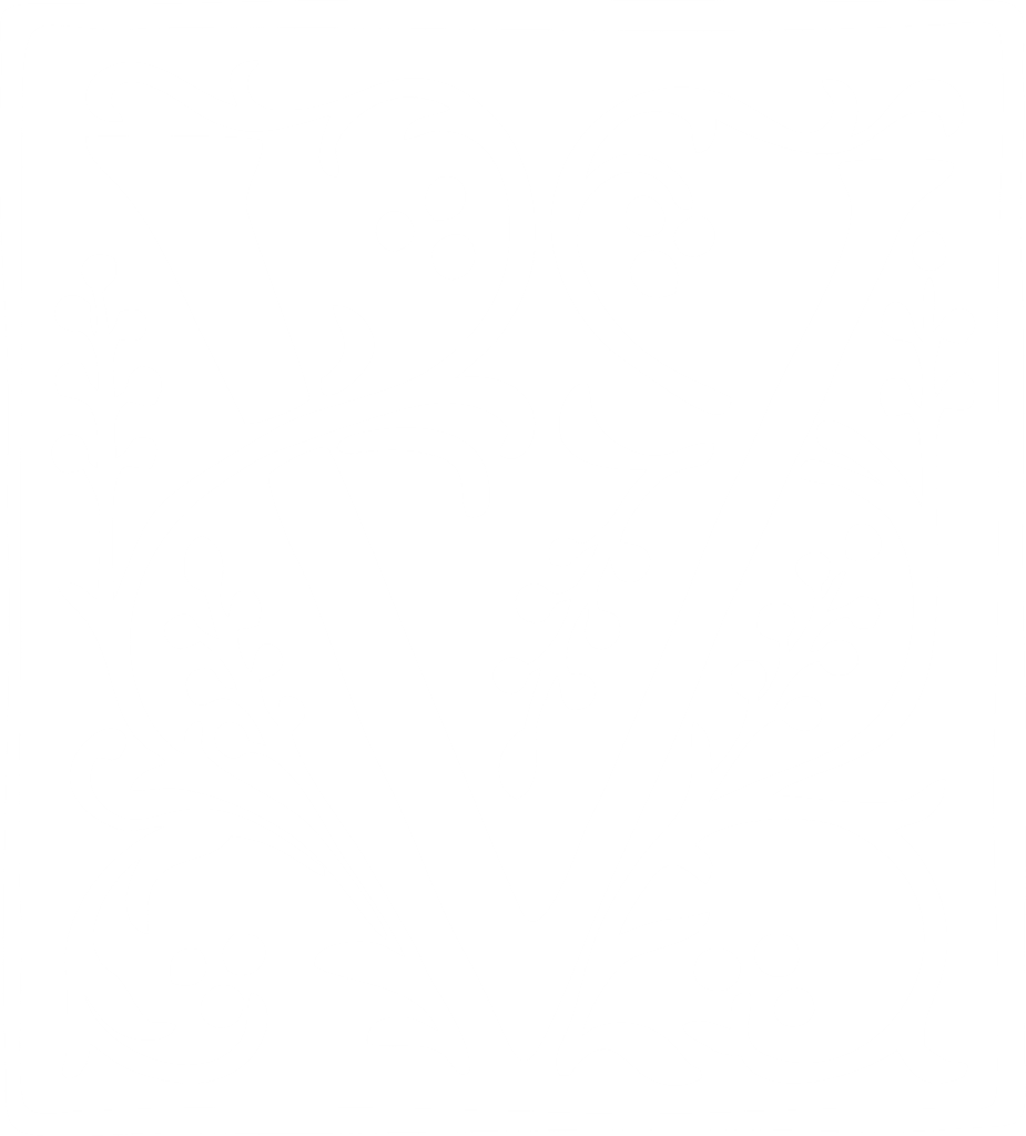 Veles logo symbol white