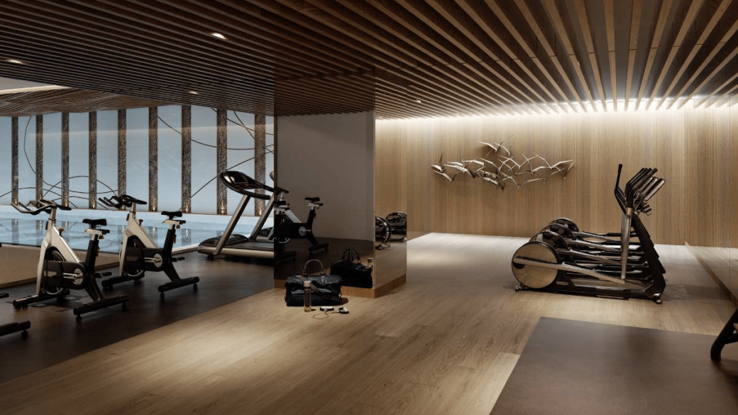 Park Modern Gym